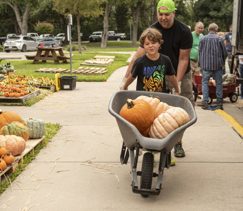 Jonah Hutton, left, who was celebrating his 10th birthday today, gets help from his dad Andy Hutton as they unload pumpkins.