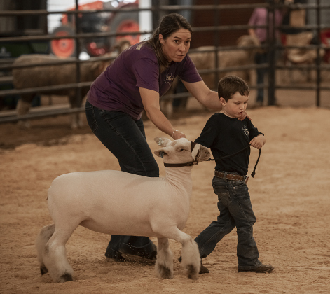 Mom Corrie Stiles of Rio Vista, Texas helps guide her son Joseph, who turns 5 on November 1st, as he shows his sheep named Petal during the Chisholm Trail Showdown Breeding Sheep Show, held Thursday, October 26, 2023 at the Williamson County Expo Center during the Williamson County Fair and Rodeo.