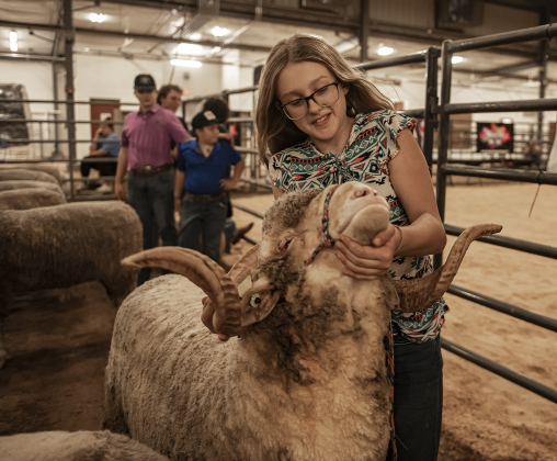 13-year-old Zoey Martin of Moody, Texas prepares to enter the show arena with her ram named Booshie during the Chisholm Trail Showdown Breeding Sheep Show, held Thursday, October 26, 2023 at the Williamson County Expo Center during the Williamson County Fair and Rodeo.
