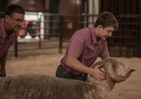 Lee Munz, left, of Bell County, watches his son Parker Munz, 15, as Parker shows his ram named Big Boy during the Chisholm Trail Showdown Breeding Sheep Show, held Thursday, October 26, 2023 at the Williamson County Expo Center during the Williamson County Fair and Rodeo.