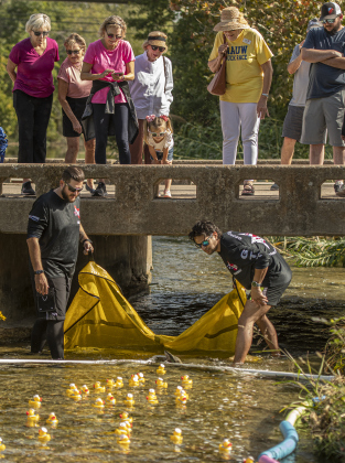 Jordan Granberry, left, a Georgetown police officer, and Jonathan Marquez, a Georgetown firefighter, help gather ducks coming into the finish line while attendees gather above them  during the annual Duck Race held Saturday, October 21, 2023 at San Gabriel Park.   The annual event is a fundraiser for the  American Association of University Women (A.A.U.W.). 50 rubber ducks were released into the water in five separate heats.  The top winners in each heat were gathered together for a championship heat.