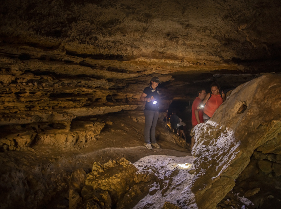 Attendees explore a limestone cave at Pecan Springs Karst Preserve.