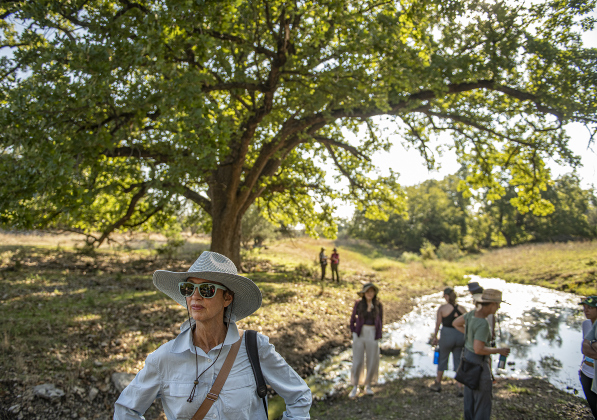 Dawn Dickson (foreground), standing near a vintage Bur Oak, was among those gathering.