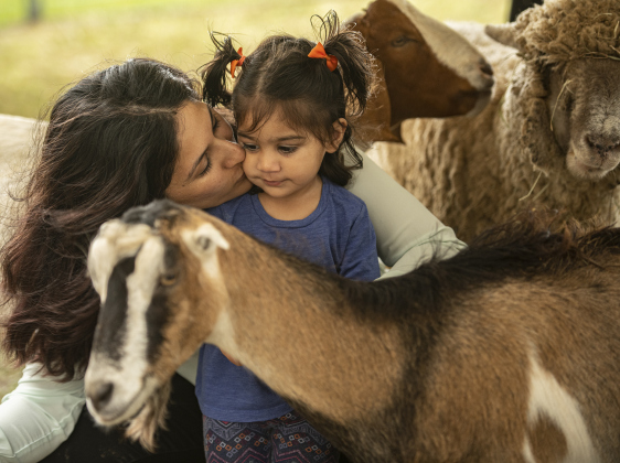 Diana Preshad and her daughter Vaani, 2, spend time  in the Texan Petting Zoo on Wednesday, October 25, 2023, the opening day of the Williamson County Fair and Rodeo, held at the Williamson County Expo Center through October 28th.