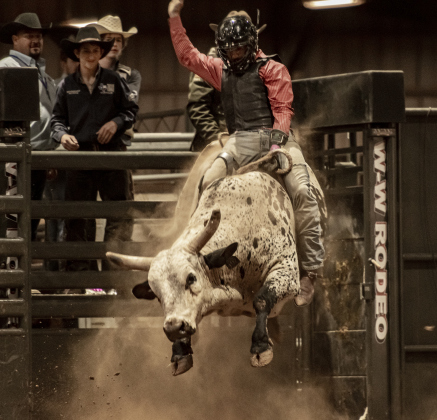 Cavalry Norris of Bryan, Texas competes in Bull Riding at the Williamson County Rodeo during the 2nd Annual Williamson County Fair and Rodeo  on Friday, October 28, 2022.   Photo by Andy Sharp.