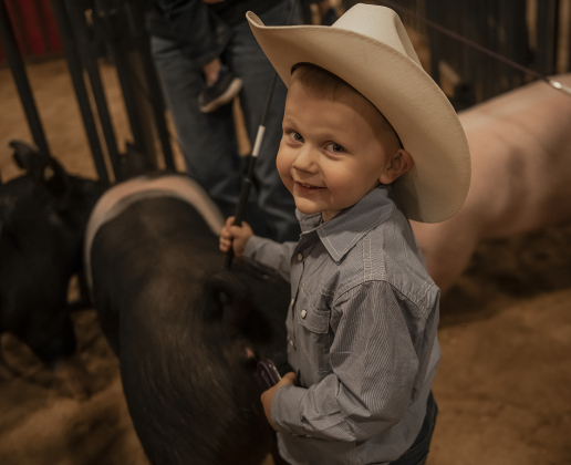 4-year-old Lane Jirasek of Thrall gets ready to show his pig in the Future Feeders event during the Market Swine Show on Wednesday, December 6, 2023 during the Williamson County Livestock Show being held at the Williamson County Expo Center.  The Future Feeders events are for kids 7 and under.