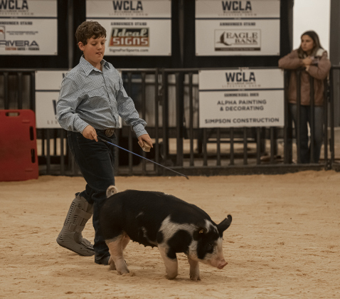11-year-old Trace Browning, a member of the Jarrell 4-H Club,  guides his pig named Vanilla through the arena, even though Trace is recovering from a broken leg, during the Williamson County Livestock Show on Tuesday, December 5, 2023.