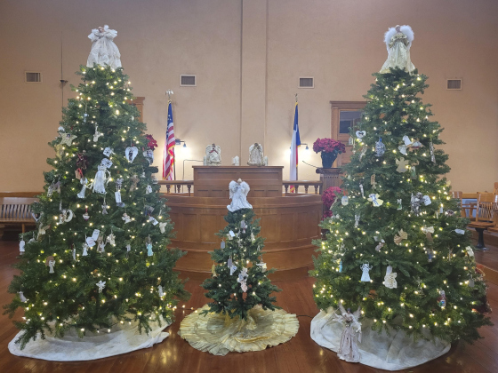 Three trees stand in the County Courthouse 26th District Courtroom for the 11th annual Tree of Angels Ceremony. This year there is a children’s tree for kids to place an ornament of their loved one and for children who have died because of violent crime.