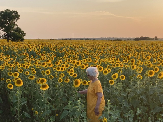 Large sunflowers overflow across a 12-acre field between Georgetown and Florence. The flowers were planted and grown by Scott Daniell. His mother, Evangeline Daniell, is pictured here in the field.