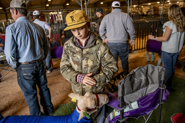 11-year-old Trigg Isbell, a member of the Williamson County 4-H Club, stands with one of his lamb entries at the Williamson Livestock Show  on Sunday, December 3, 2023. Contestants brought in their lamb and goat entries on Sunday, with competition set for Monday.