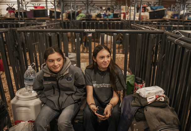 Identical twin sisters Amber Hollon, left, and Lucy Hollon, right, both 17-year-old students at Georgetown High School, relax in the show barn   at the Williamson Livestock Show  on Sunday, December 3, 2023.  Amber will compete in the swine (hog) competition on Wednesday, while Lucy is showing lambs on Monday.