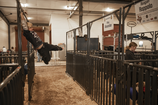 7-year-old Beau Morgan of Georgetown, who will show a lamb and goat in the Pee Wee Showmanship category at the Williamson Livestock Show on Monday, relaxes in the show barn  on Sunday, December 3, 2023.