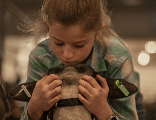 11-year-old Haley Sandefur, with the Liberty Hill FFA program, spends time with her lamb named Daisy at the Williamson County Livestock Show  on Monday, December 4, 2023.  Monday competitions included Market Goat and Market Lamb competitions.  The show is held in the show barn at the Williamson County Expo Center.