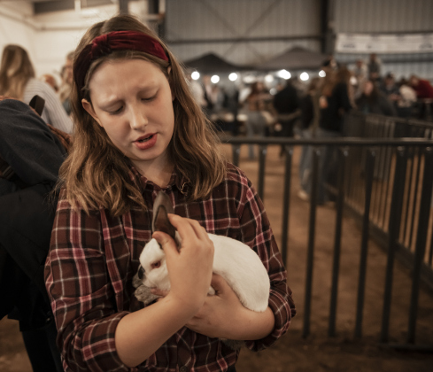 10-year-old Jane Dennen, with the Taylor 4-H Club,  holds onto a rabbit she calls Mrs. Nibbles during the Market Rabbit Show at the Williamson Livestock Show  on Sunday, December 3, 2023.