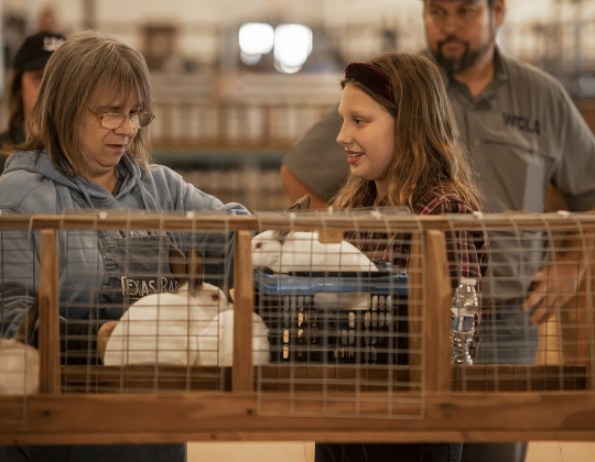 Rabbit Show judge Mary Jo Terry, left, looks over entries from 10-year-old Jane Dennen, a member of the Taylor 4-H Club during the Market Rabbit Show at the Williamson Livestock Show  on Sunday, December 3, 2023.