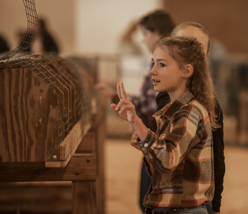 9-year-old Presley Hafley of Leander communicates with her parents via hand signals while taking part in the Market Rabbit Show at the Williamson Livestock Show  on Sunday, December 3, 2023.