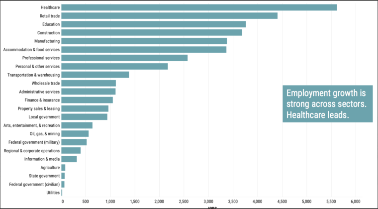 This chart shows the top industry employers in Georgetown. Healthcare comes out on top with over 5,500 employees followed by retail trade with almost 4,500. (Chart courtesy TIPS Strategies)