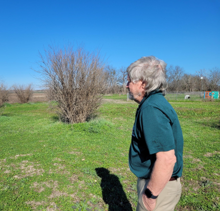 T. J. Bulgerin views his property that was passed down from his grandfather. Photo by Nalani Nuylan.