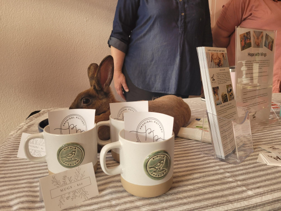 A bunny from Simple Sparrow Care Farms helps promote the nonprofit’s goal to raise funds for their Hope with Wings program that helps at-risk and foster children with their families.