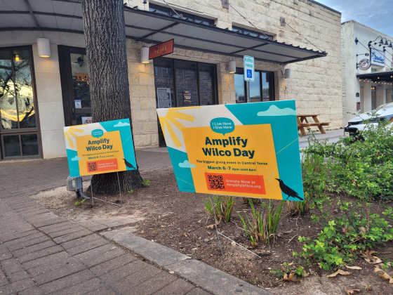 Amplify Wilco yard signs decorate the Square to promote the many nonprofits trying to raise money. This is the first Amplify Wilco for nonprofits within the county.
