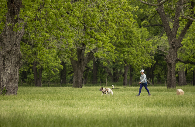 Amanda Williamson and her dog Stitchie-Pants enjoy a walk surrounded by pecan trees at Berry Springs Park & Preserve with  a cooler and cloudy day  on Saturday, April 20. Both Amanda and Stitchie-Pants are actors.  Amanda's company is called Pan In Hand Studios TX. 