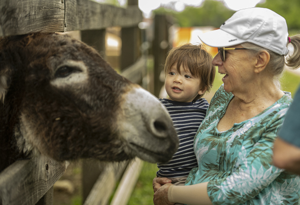 Lisa Barnes and her grandson Wesley Morrow, 2, visit with a donkey named Pedro at Berry Springs Park & Preserve  on Saturday, April 20, 2024.   The park has a second donkey named Bob. Photos by Andy Sharp