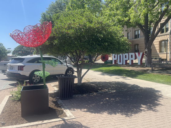 The Square in Georgetown is decorated with red poppy sculptures and a lard sign on the courthouse lawn ahead of this weekend's festival. 