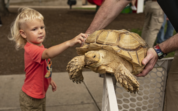 J.J. White, who turns 3-years-old on Sunday, gets a chance to visit with a tortoise named Speedy at the  All Things Wild Rehabilitation booth.