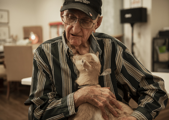 Bo, a Nigerian dwarf goat almost 4 weeks old, enjoyed cuddling with Roy Allgood  at the S.P.J.S.T. Skilled Nursing and Rehabilitation Center  on Thursday, June 6, 2024.