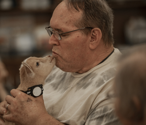 Bo, a Nigerian dwarf goat almost 4 weeks old, enjoyed his time with Harold Eskew  at the S.P.J.S.T. Skilled Nursing and Rehabilitation Center  on Thursday, June 6, 2024.
