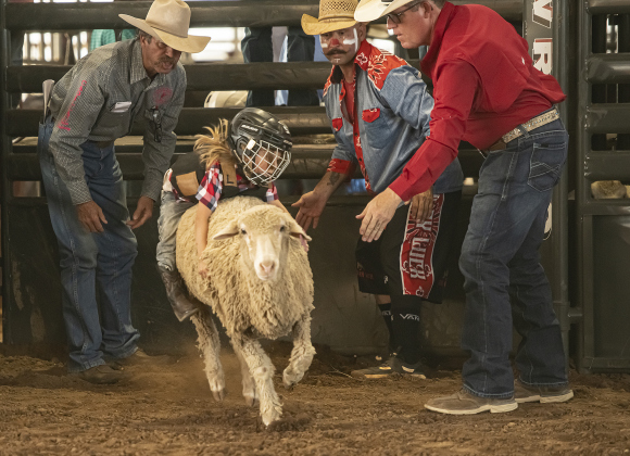 4-year-old Gabriel Zapata takes a sheep ride  in Mutton Bustin' at the 1st Annual Bill Pickett Youth Rodeo, held at the Williamson County Expo Center  on Saturday, June 15, 2024.   The rodeo was open to entrants 18-years-old or younger.    Photo by Andy Sharp.