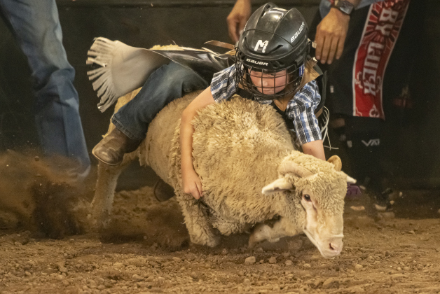 6-year-old Bryson Anderson competes   in Mutton Bustin' at the 1st Annual Bill Pickett Youth Rodeo, held at the Williamson County Expo Center  on Saturday, June 15, 2024.  The rodeo was open to entrants 18-years-old or younger.    Photo by Andy Sharp.