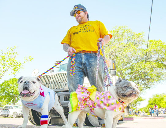 Jeff Lanfear and Bronson, left, his English bulldog, and Zoso, right, his French bulldog, were participants in the Popp Pup Parade in downtown Georgetown  on Sunday, April 30, 2023, the final day of this year's Red Poppy Festival.  The pet parade  is coordinated by Wag Heaven. 
