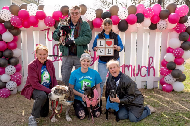 Volunteers help at the Georgetown Animal Shelter. 