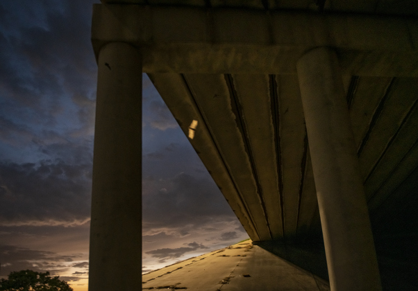 A  Mexican Free-tailed bat is highlighted by a nearby street light as it flies under  the McNeil Street bridge along Interstate 35 in Round Rock  on Saturday, July 13, 2024.
