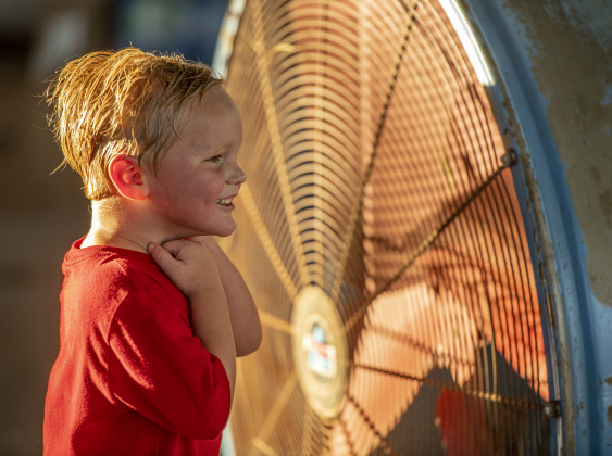 3-year-old Oliver Bosley enjoys a breeze from a large fan while attending the 45th Taylor International BBQ Cook-Off on Friday, August 16, 2024.  Held at Murphy Park, the event, attracting entrants from all over Texas, continued through Saturday.    Photo by Andy Sharp.