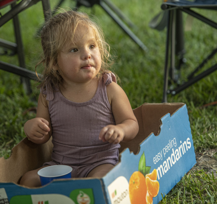 2-year-old Emmersyn Grace Sherrill enjoyed a few grapes while sitting in a shady area with members of her family at the 45th Taylor International BBQ Cook-Off on Friday, August 16, 2024.  Held at Murphy Park, the event, attracting entrants from all over Texas, continued through Saturday.    Photo by Andy Sharp.
