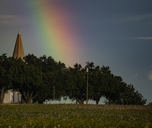 A rainbow forms over a cotton field and Prince of Peace Lutheran Church a little after 7 p.m. on Monday, August 26, 2024.  The church is on County Road 417 in Wuthrich Hill.  Areas of Williamson County welcomed rain and cooler temperatures beginning Monday afternoon.    Photo by Andy Sharp.