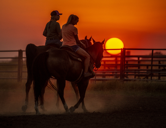 Brandy Hunter, left, and Tracy Love, walk their horses during sunset at the Texas Senior Pro Rodeo Association’s event held at the Williamson County Expo Center on Saturday, August 24. Both competed in Barrel Racing at the competition. Founded in 1978, the group promotes rodeo activities for athletes 40-years old or older. This year’s Taylor stop concluded on Sunday at the Expo Center.
