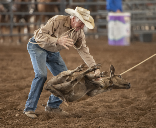 rad McReynolds of Groesbeck, Texas competes in 70 Tiedown Roping at the Texas Senior Pro Rodeo Association's  rodeo held at the Williamson County Expo Center on Saturday, August 24, 2024.