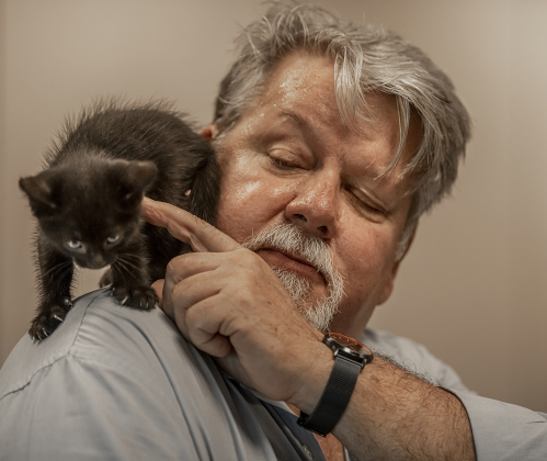 ohn Martin spends time with a kitten named Felix during a Georgetown Animal Shelter kittens adoption event held at the Georgetown Public Library.