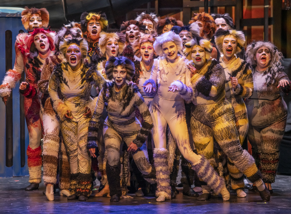 Cast members come together  in a Thursday, August 1, 2024  scene from the dress rehearsal of "Cats," playing on the Palace Springer Stage through September 8.