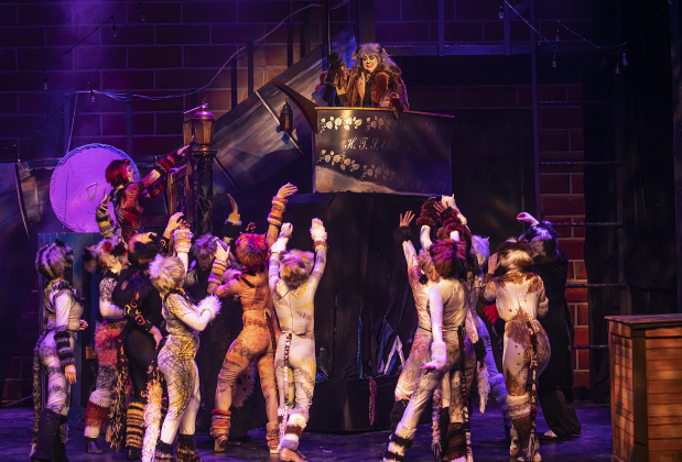 Jennifer Tucker (top), playing Grizabella, is pictured in a Thursday, August 1, 2024  scene from the dress rehearsal of "Cats," playing on the Palace Springer Stage through September 8.