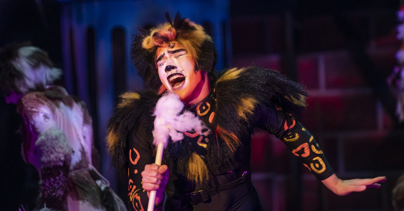 Hayden Tran, as Rum Tum Tugger, is pictured in a Thursday, August 1, 2024  scene from the dress rehearsal of "Cats," playing on the Palace Springer Stage through September 8.