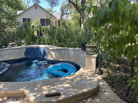 Mr. Byhower has created privacy around his pool through using native Texas plants. His bird feeder is set up just beyond the pool