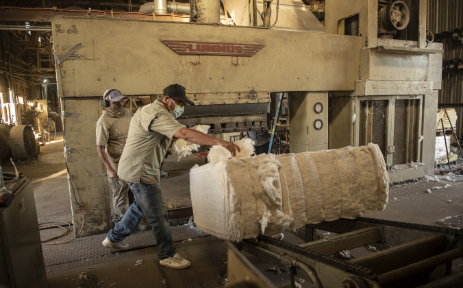 A finished bale of cotton weighing around 500 pounds is taken from a conveyer to be wrapped for shipment  at Waterloo Gin on Monday, September 9, 2024. Located on County Road 414 east of Taylor, the gin is co-owned by Clement Strmiska and David Woollett.   Photo by Andy Sharp.