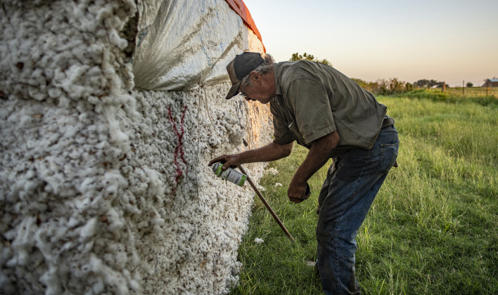Clement Strmiska, co-owner of Waterloo Gin, is seen as he marks a client's cotton module near day's end on Saturday, September 7, 2024, the first day of cotton ginning at the gin he owns with David Woollet.   Photo by Andy Sharp.