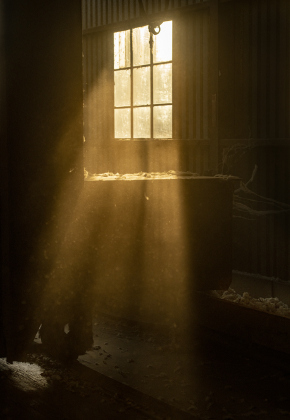 Light filtered through windows falls on cotton as it begins the ginning process at Waterloo Gin on Monday, September 9, 2024. Located on County Road 414 east of Taylor, the gin is co-owned by Clement Strmiska and David Woollett.   Photo by Andy Sharp.