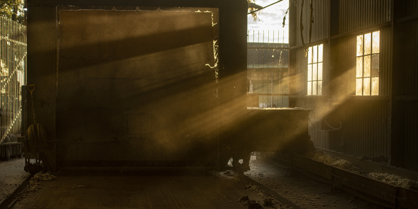 Light filtered through windows falls on cotton as it begins the ginning process at Waterloo Gin on Monday, September 9, 2024. Located on County Road 414 east of Taylor, the gin is co-owned by Clement Strmiska and David Woollett.   Photo by Andy Sharp.