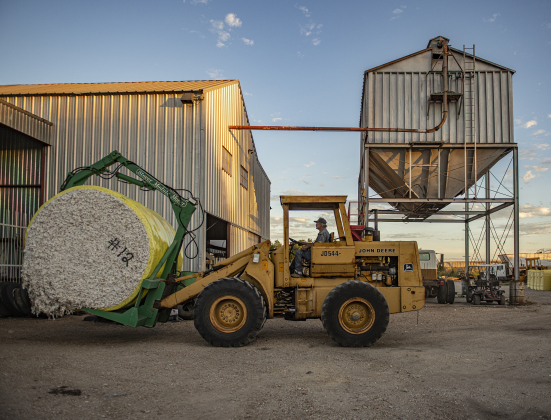 Gin co-owner Clement Strmiska guides a large module of harvested cotton to begin  the ginning process at Waterloo Gin on Monday, September 9, 2024. Located on County Road 414 east of Taylor, the gin is co-owned by Clement Strmiska and David Woollett.   Photo by Andy Sharp.